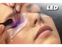 ビンゴ ラッシュ/LEDエクステ