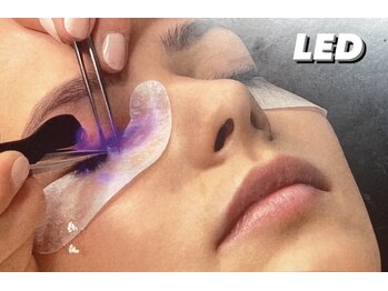 ビンゴ ラッシュ/LEDエクステ