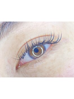 エクステの種類が豊富