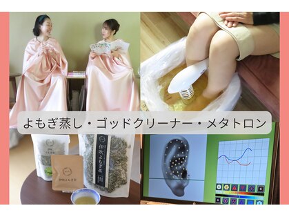なでしこの写真