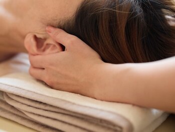 ビビディ(Bividy)/