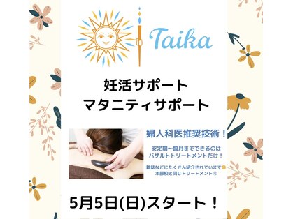 タイカ(Taika)の写真