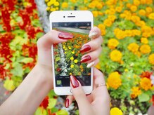 ベルジョワ(Belle Joie)/ワンカラー