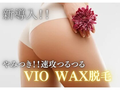 ビバ(VIVA)の写真