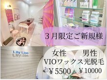 リリーライオン(Lily Lion)