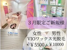 リリーライオン(Lily Lion)