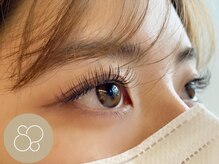 ラソ プエルト(LAZO puerto)/フラットラッシュ140本