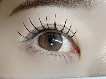 アイ(i)/上下まつ毛エクステ