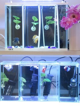 ファム 蓮台寺店(FAM)/