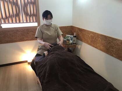 キョウカ(Kyoka)の写真