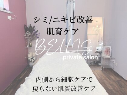 ベリス(BELLIS)の写真