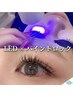 LEDマツエク★バインドロックorダブルフラットラッシュ140束★他店付足OK
