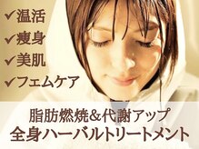 ヨサパーク アリーボンド(YOSA PARK AllyBond)の雰囲気（11種類のハーブで中から促進☆芯から温めて代謝アップ！）