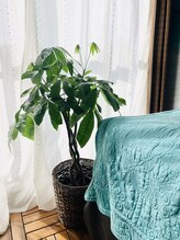 ココムーン(KoKo moon)/陽差しが入る明るい個室サロン