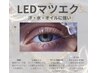 導入記念価格【LED装着】フラットセーブル100本¥6400/120本¥6900/140本￥7400