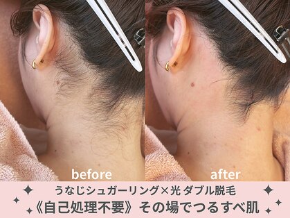 ルバート(rubato)の写真