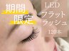 【8月19.20日限定!持ち抜群☆】 LEDフラットラッシュ120本 6000円