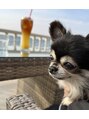 アリー(ALII)&nbsp;わんちゃんを飼っています！動物が小さころから大好きです！
