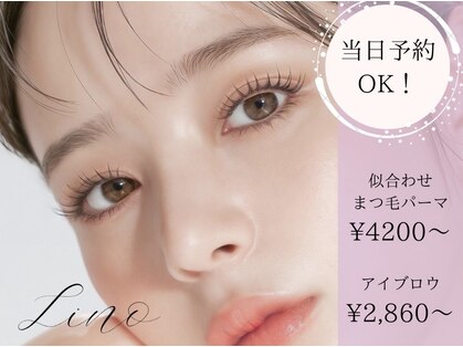 リノ(Lino)の写真