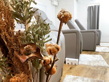 プレイン(PLAIN)/《店内》