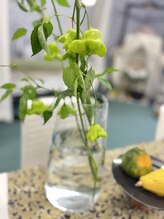 マシュマロハンド/よもぎ蒸し/冷え/むくみ改善