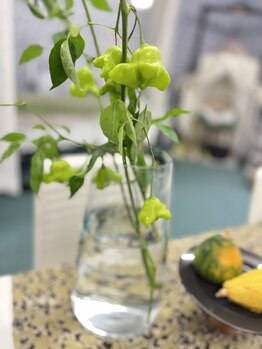 マシュマロハンド/よもぎ蒸し/冷え/むくみ改善