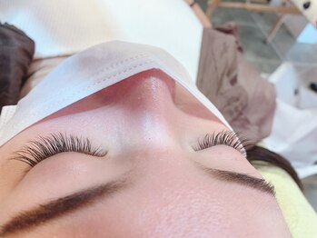 ピクシーボブ(Pixie Bob)/セクシースタイル!100本☆