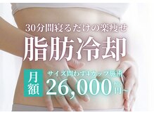 イエス マイサロン(yes My Salon)の雰囲気（【脂肪冷却で徹底ケア！】脂肪細胞ごと減少させる最先端技術）