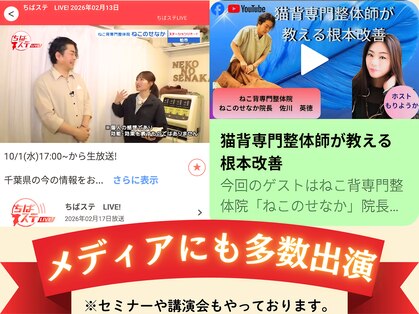 ねこのせなかの写真