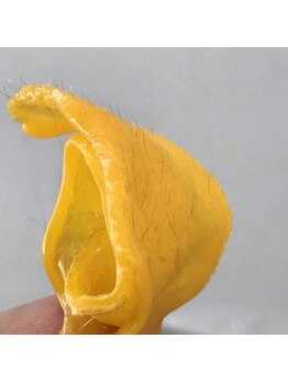 アンベリィ(Embellir)/スーパーフード wax