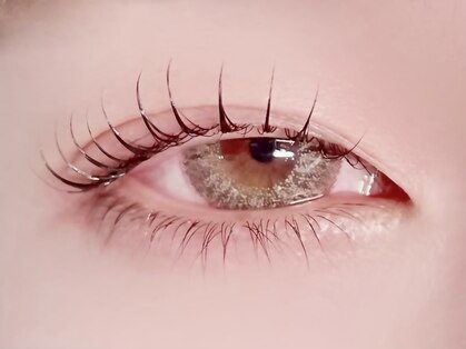 ポジャ(poja)の写真