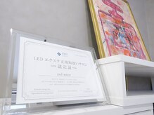 アンドモアプラス(and more+)