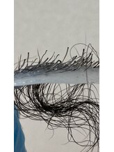 ワックスラボ(WAXLAB)/元気な毛根