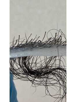 ワックスラボ(WAXLAB)/元気な毛根