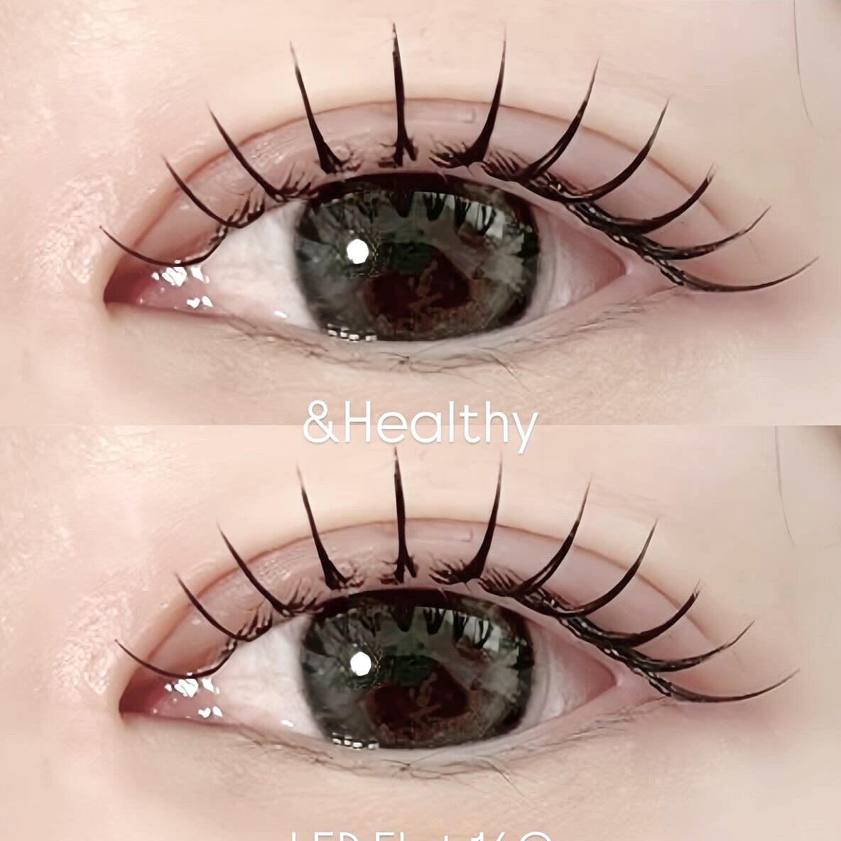 【ご新規様限定】新技法アンドヘルシー◎フラットラッシュ100〜120本