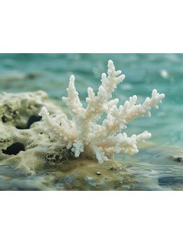 アロマで癒されたい