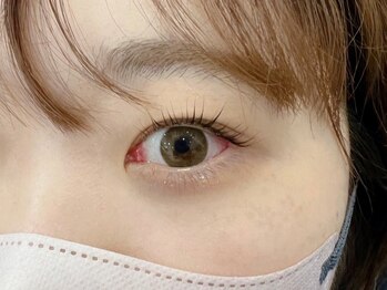 シピー(chipie by anon)/まつ毛パーマ