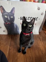 グロービューティ ミュー(growbeauty mew)/黒猫店長　ゆう