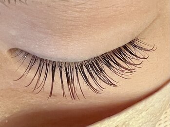 レミア 関内(REMIA)/11月　フラットカラー