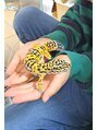 とんとん整骨院 鍼灸院 東武練馬&nbsp;息子と世話をしている、ヒョウモントカゲモドキの小太郎君です。