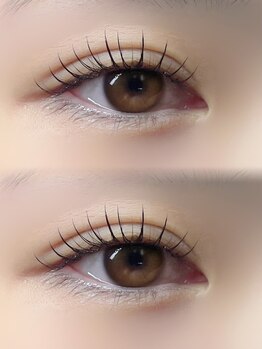 ミルリス(millelys)/パリエク