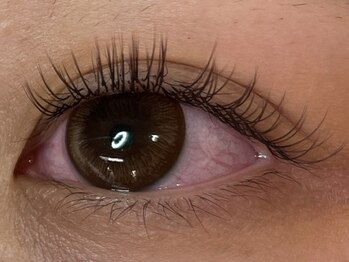 ウルカ アイラッシュ(uruka EYELASH)/ブラウンフラットラッシュ 120本