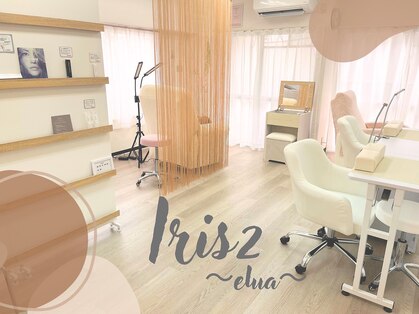 アイリスエルア(Iris2 elua)の写真