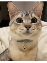 癒しの隠れ家サロン シュシュ(CHOU*CHOU)&nbsp;スズキ きび