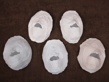 小顔美肌コルギ専門店 センティード 吉祥寺(Sentido)/種類別石膏パック