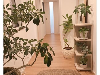 エイジング ラヴィーア 豊橋店(aging Lavia)/◆玄関入口です◆