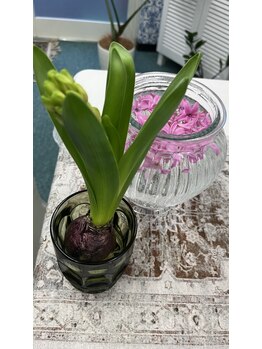 マシュマロハンド/よもぎ蒸し/冷え/むくみ改善