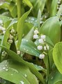 エクルールネイル(Eclouleur nail)&nbsp;お庭のスズラン。花言葉は純粋、謙虚、再び幸せが訪れる、です♪