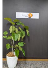 チャイ 広島シャレオ西通り店(Chai)/