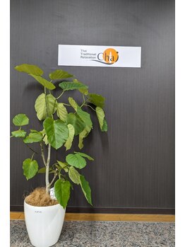 チャイ 広島シャレオ西通り店(Chai)/